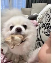 Plush Catnip Mice Toys with Rattle Sound - 2 Pcs Interactive Cat Toys for Indoor Cats, Durable Stress Relief Eco-Friendly Small Mouse Chew Playthings(with Catnip Bag)