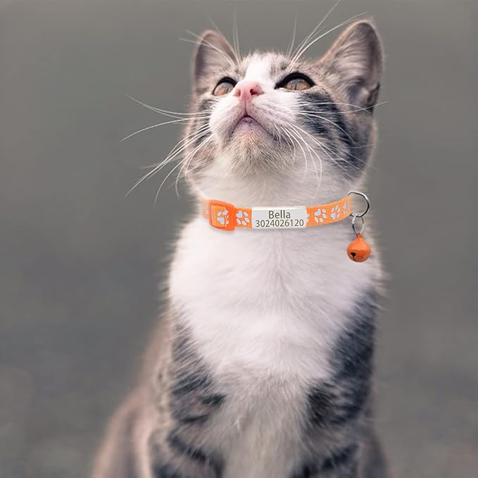 Personalized 2 Pack Reflective Cat Collar,Custom Breakaway Cat Collars with Name Tag and Bell,Anti-Lost Nameplate Cat Collar for Girls & Boys(Orange,fit 8''-11.0'')