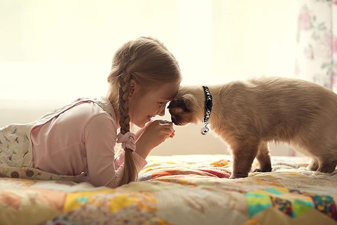 2PCS Breakaway Cat Collars with Bell Cute Kitty Glow in The Dark Adjustable Kitten Collars 7.9-13.0 Inch(Sky Blue&Black)