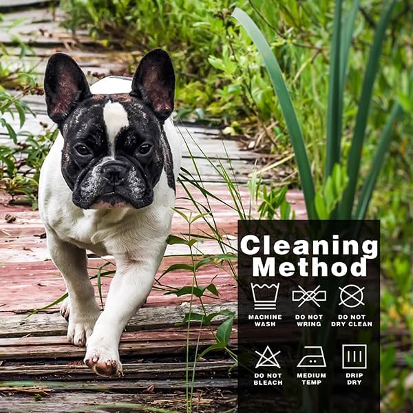 Paiaite Dog Clothes Fashionable Sleeveless Pet Vest: 'Little Miss Sassy' Printed Cotton Dog Shirt, Ideal for Small, Medium, and Large Breeds, Ensuring Comfort and Breathability Purple XL