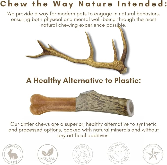 WhiteTail Naturals Premium Whole Elk Antlers for Dogs (1 Pound Pack) Natural Dog Chews | Naturally Shed Antler Horn | 6 to 8 Inch Long | Large and Medium Antler Bone Chew