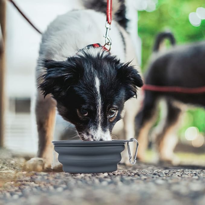 Kytely Collapsible Dog Bowls 2 Pack (650ml) - Portable Travel Pet Food & Water Bowls with Carabiner Clip, Foldable Feeding Dish for Dogs Cats, Hiking Walking Camping (Blue+Grey)