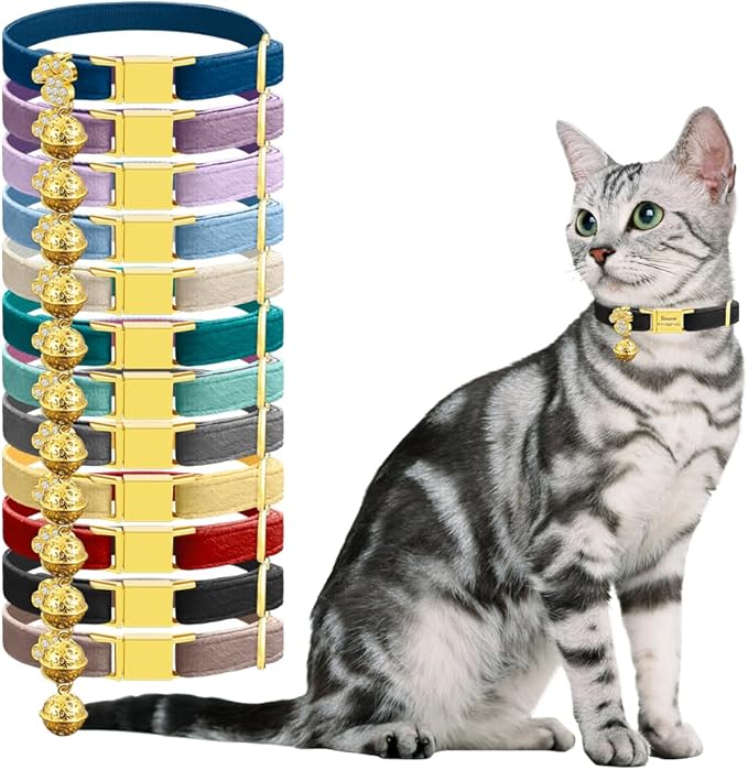 Personalized Breakaway Cat Collars - Magnetic Buckle, Bell - Safety Quick Release, Customized for Girls & Boys Cats- (Velvet-Black)