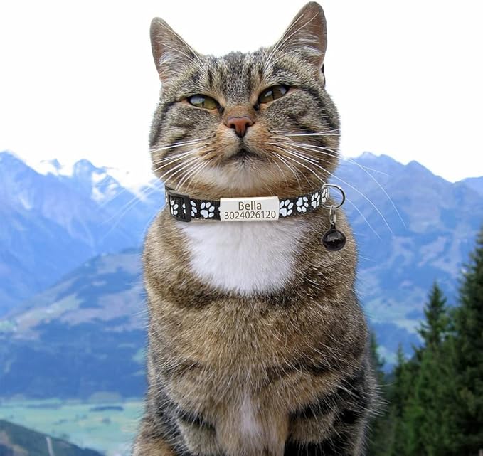 Personalized 2 Pack Reflective Cat Collar,Custom Breakaway Cat Collars with Name Tag and Bell,Anti-Lost Nameplate Cat Collar for Girls & Boys (Black,fit 8''-11.0'')
