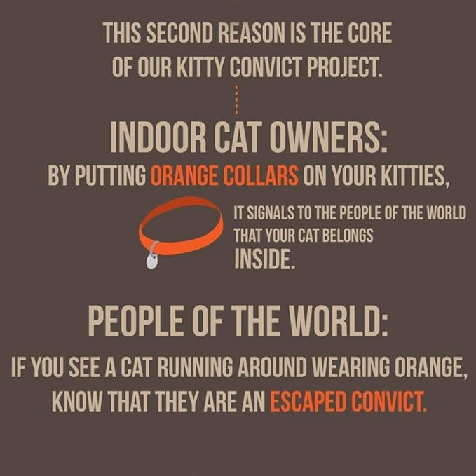 Kitty Convict Personalized Cat ID Collars (Orange, Embroidered Cat ID Collar)