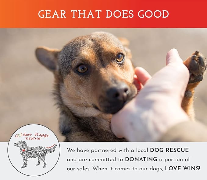 SPOT THE DOG! Reflective Dog Collar - Adjustable Pet Collars, Safe, Durable, Comfortable Dog Walking Accessories for Large Dog, Hunting Dog, Puppy, Lightweight Boy, Girl Dog Collars (Blaze Orange, L)