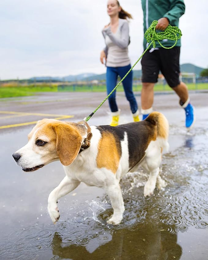 Lanwandeng (2 Pack) Long Dog Leashes for Training 15FT/30FT/50FT, Rope with Reflective Thread Large Medium Small Dogs, Tie-Out Cable Lead Hunting, Camping&Backyard, 2Pack Orange&Green (LDL-O&G50FT)
