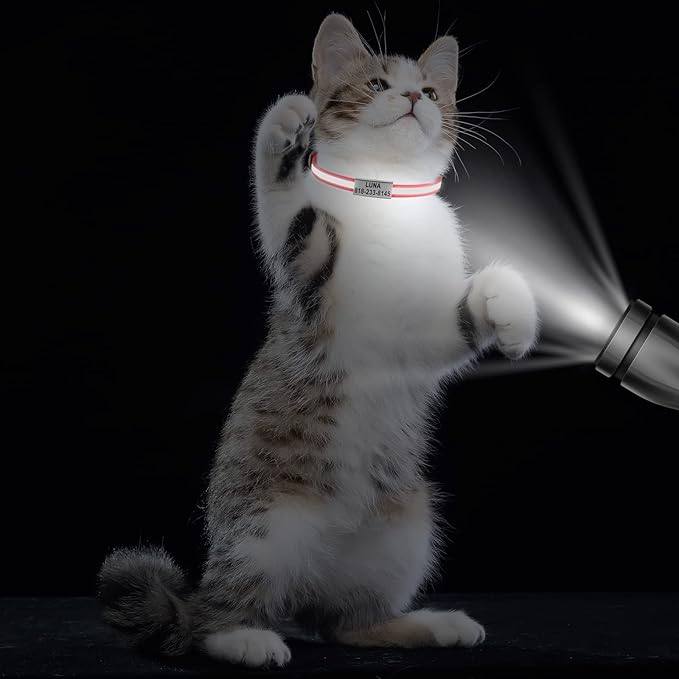 Cat Collar Personalized - Breakaway Reflective Cat Collar with Bell-Custom Cat Collars Engraved with Name and Phone, Adjustable for Cats and Kitten