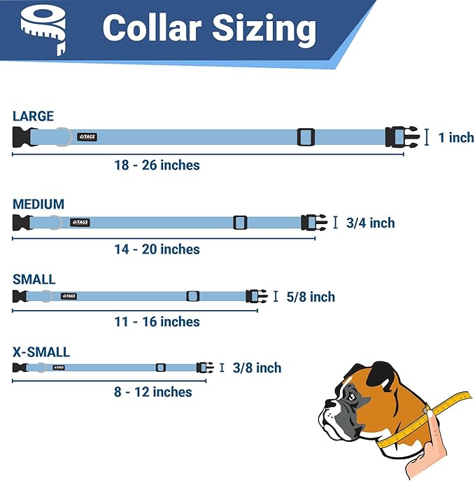 GoTags Dog Collar with Personalized Nameplate, Adjustable Dog Collar with Custom Engraved Slide On Pet ID Tag in Stainless Steel, Silent, No Noise Dog Tag Small to Large Unique Colors