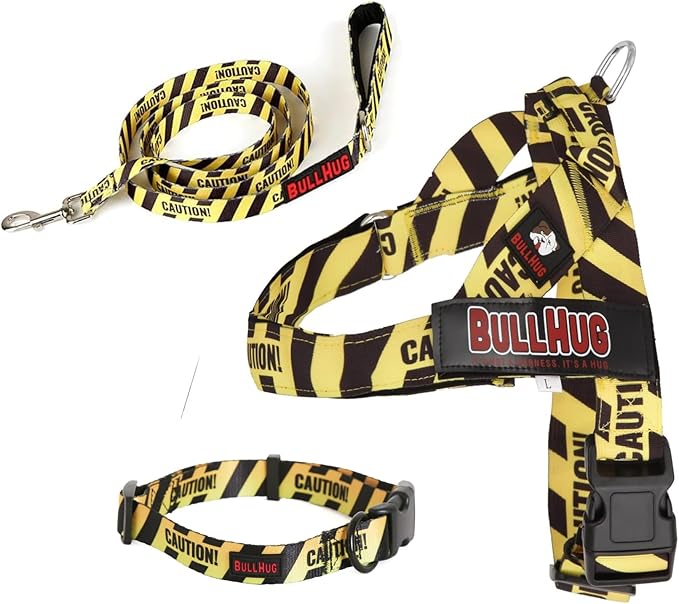 BULLHUG 6 FT Bulldog Leash with Padded Handle. Perfect for Bulldogs, French Bulldogs, Pugs & All Breeds. Leashes for Walking, Training Lead for Bulldogs (Reflective Stitching, Tiffany)