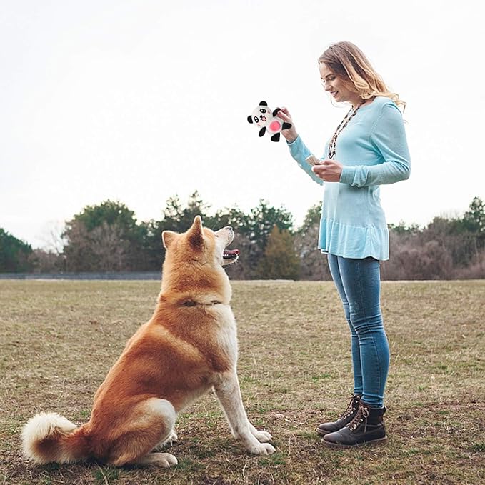 LEGEND SANDY Squeaky Plush Dog Toy 6 Pack for Puppy, Small Stuffed Puppy Chew Dog Toys Bulk with Squeakers, Cute Soft Pet Toy for Small Medium Size Dogs