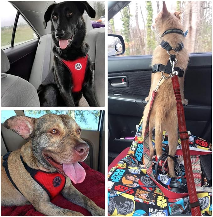 SlowTon Dog Seat Belt Harness for Car, Dog Car Harness Adjustable Mesh Breathable & Dog Seatbelt Safety Tether with Elastic Bungee for Small Medium Large Pets(Red Seatbelt, Single Clip, XXXS)