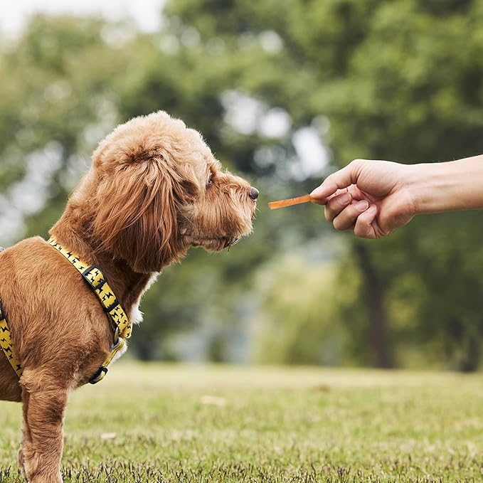 ASMPET Dog and Cat Treats, Chicken Strips, Grain Free Soft Chewy Training Rewards 10.6 OZ