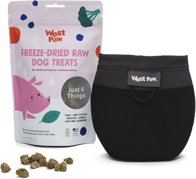 West Paw Design Outings Dog Treat Pouch – Pet Pouches for Walking, Dog Training – Accessories for Pets – Includes Hinge Snaps, Water-Resistant Liner, Belt Clip – Eco-Friendly Dog Pouches (Grey)