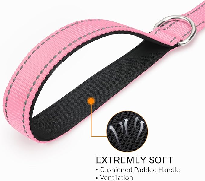 Joytale Double-Sided Reflective Dog Leash, 4 FT, Padded Handle Nylon Heavy Duty Leashes for Small & Medium Dogs Walking, Pink