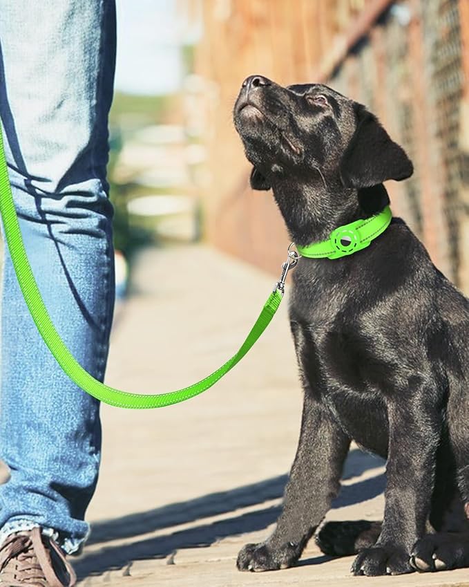 6FT Reflective Nylon Dog Leash with Soft Padded Handle for Walking, Running and Training, Supports Small Medium and Large Dogs (Green, 3/4Inch Wide)