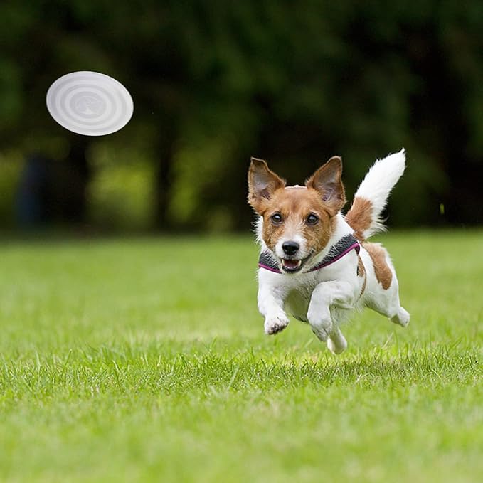SLSON Dog Bowls Pet Collapsible Bowl with Cover Lids,2 Pack Dog Travel Bowls Portable Foldable Cat Water Dish Bowl for Pets Walking Parking Camping (Taro Purple and Concrete Gray, Small)