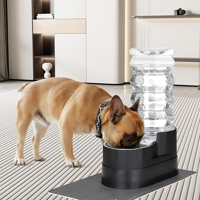 RIZZARI Large Water Dispenser for Dogs: 8L Raised Gravity Black Automatic Stainless Steel Waterer with Specialized Brush and Triple Filter for Senior Dogs - Good for Spine - in Bedroom Garden