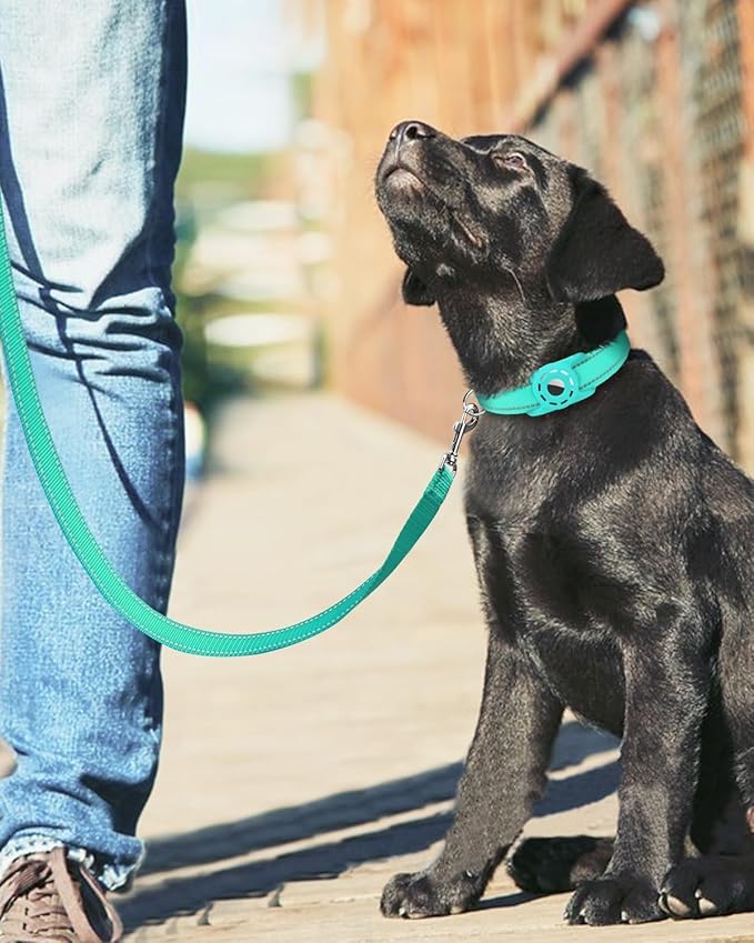 4FT Reflective Nylon Dog Leash with Soft Padded Handle for Walking, Running and Training, Supports Small Medium and Large Dogs (Turquoise, 1 Inch Wide)