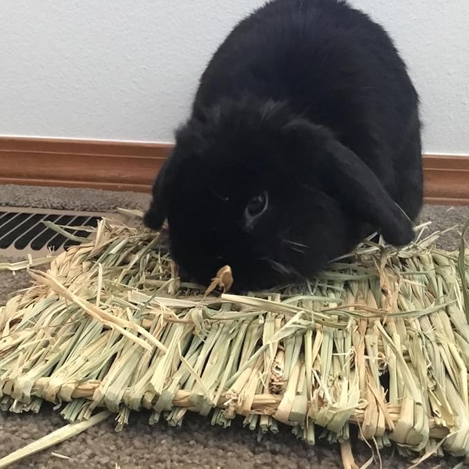 PINVNBY 4 Pack Woven Grass Mats for Rabbits,11.0"x8.3" Natural Bunny Hay Mat Large Guinea Pig Straw Handwoven Bedding Chewable & Cooling Mat - Eco-Friendly Cage Liner Nesting Toy