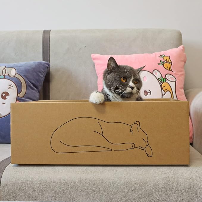 5 Packs in 1 Cat Scratch Pad with Box for Indoor Cats, Larger-Sized Durable Recyclable and Reversible Cardboard Cat Scratching Pad for Rest and Play