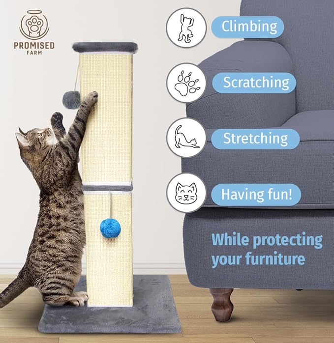 Tall Cat Scratching Post 32 Inches - Protects Furniture - Durable and Sturdy Design - Aesthetic Cat Accessories Essentials Grey/Blue