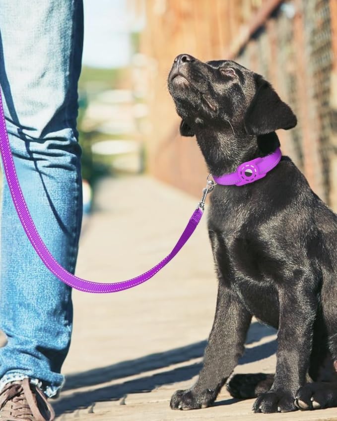 4FT Reflective Nylon Dog Leash with Soft Padded Handle for Walking, Running and Training, Supports Small Medium and Large Dogs (Purple, 3/4 Inch Wide)