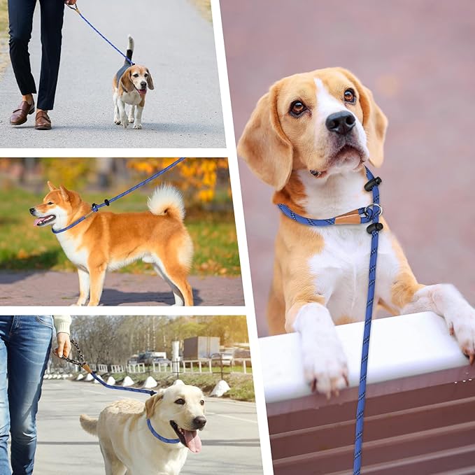 lynxking Slip Lead Dog Leash Reflective, Heavy Duty Comfortable Strong Rope for Large Medium Small Dogs No Pull Pet Training (Blue, Large 1/2in x 6ft-Slip Lead)