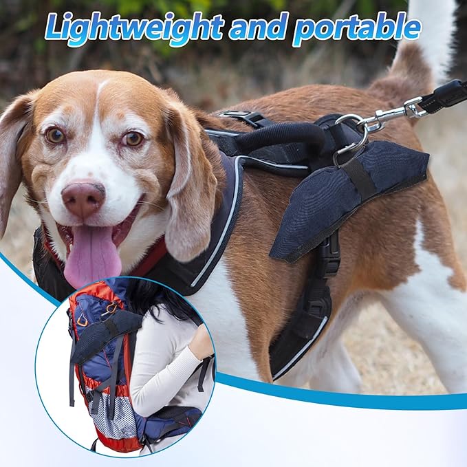 2 Pcs Foldable Portable Dog Bowls for Travel, 40 oz Water and Food Bowl for Dog, Puppy Waterproof Wear-Resistant Oxford Cloth