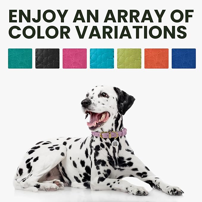 Rolled Leather Dog Collar Soft Round Collars, ID Tag for Small Medium Large Dogs (7-10 inch, White & Silver Buckle)