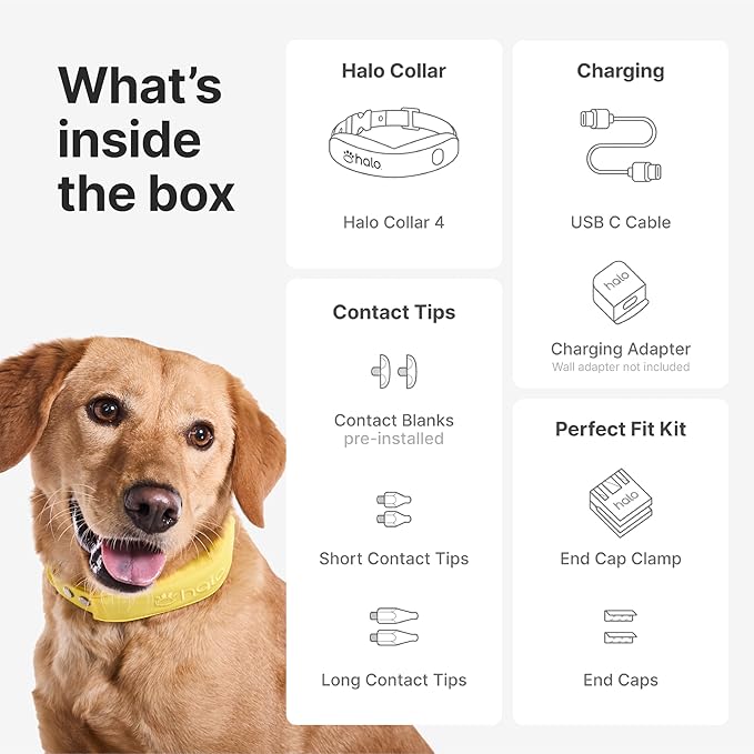 Halo Collar 4, GPS Wireless Dog Fence & Dog Training Collar with GPS Tracker, Subscription Required, Waterproof, Midnight, One Size