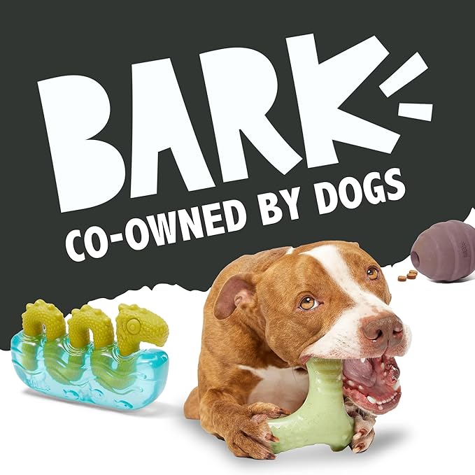 Barkbox Get Ripped Margrrrita Super Chewer Tough Dog Chew Toy for Aggressive Chewers, Plush Cover with Rubber Core - 2 Toys in 1 – Two Layer Treat Dispensing Dog Toy for Large Dogs