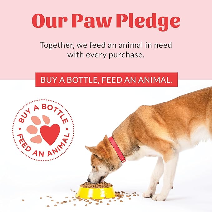 SKOUT'S HONOR Probiotic Pet Deodorizer Spray- Hydrating Daily-Use with Avocado Oil & Omega-3s, Microbiome Friendly Certiified, Paraben & Sulfate-Free, 97% Natural, 8oz, Sunkissed Coconut