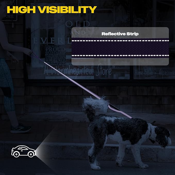 Fida 5 FT Heavy Duty Dog Leash with 2 Comfortable Padded Handles, Traffic Handle & Advanced Easy Snap Hook, Reflective Walking Lead for Large, Medium & Small Breed Dogs, Purple