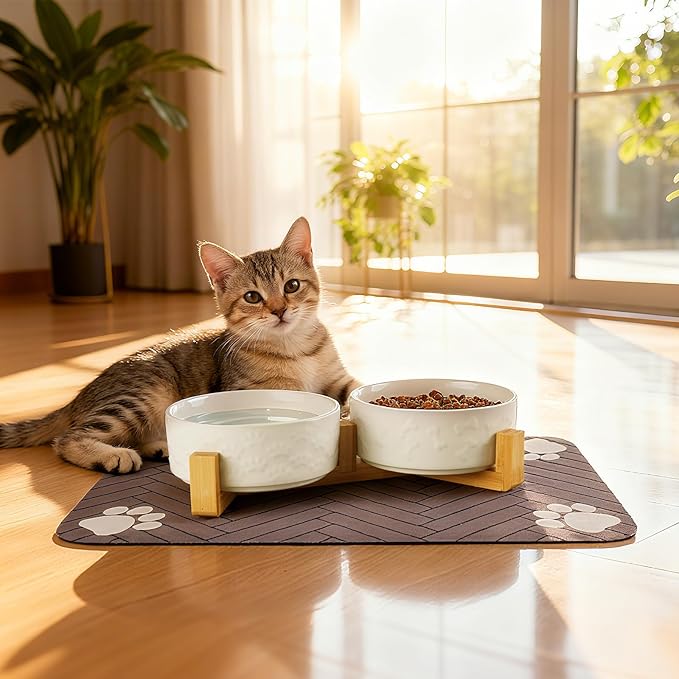 Dog Bowls Set with Wood Stand & Mat Waterproof, 3.5 Cups Ceramic Dog Bowls Elevated for Medium Dogs, Dual Food and Water Bowls with Weighted Non-Slip Base 28.7 OZ