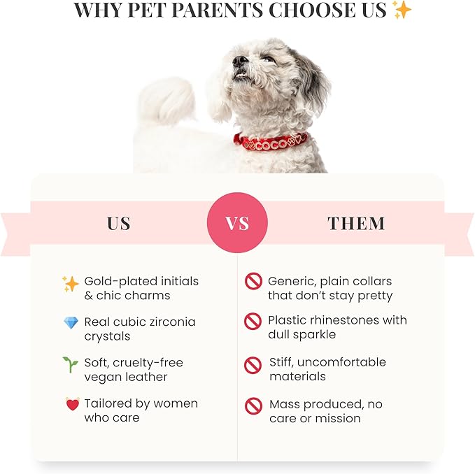 Paws Paws Miami Custom Dog Collar for Small Dogs, Personalized with Name in Gold-Plated Cubic Zirconia Initials and Charm Jewels Leather Collars, Neon Pink