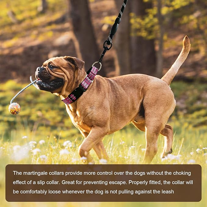 Hikiko Martingale Dog Collars Reflective Nylon Puppy Dog Collar with Quick Release Buckle Adjustable Training No Slip Dog Collar (X-Small, Pink)