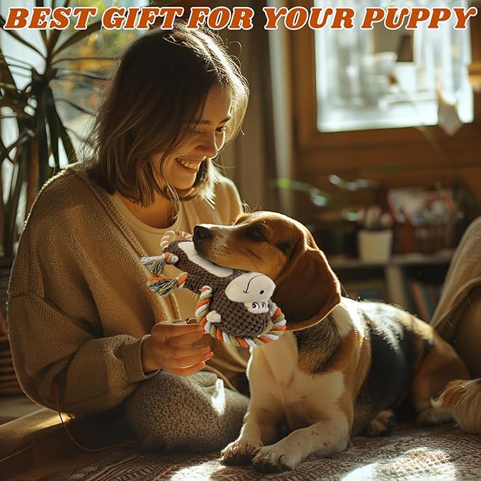 Squeaky Durable Dog Toy Large Breed, Tug of War Dog Interactive Toy, Stuffed Plush Puppy Toy with Crinkle Paper for Small, Middle, and Big Dogs Monkey,Orangutan Shape