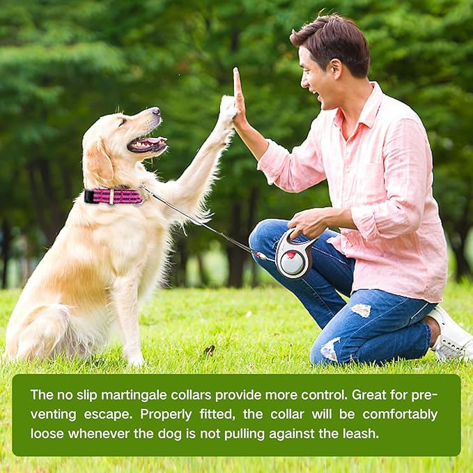 Hikiko Martingale Dog Collars Reflective Nylon Dog Collar with Quick Release Buckle Adjustable Training No Slip Dog Collar (Small, Hot Pink)