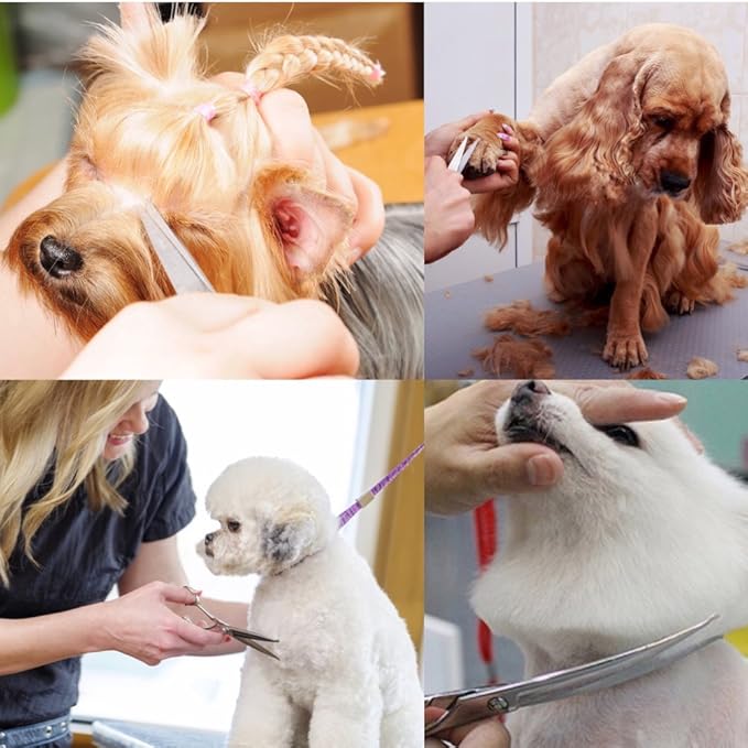 Dog Scissors with Round Tip, 6 in 1 Dog Grooming Kit, Stainless Steel Pet Grooming Scissors for Full Body, Face, Nose, Ear and Paw (Blue)