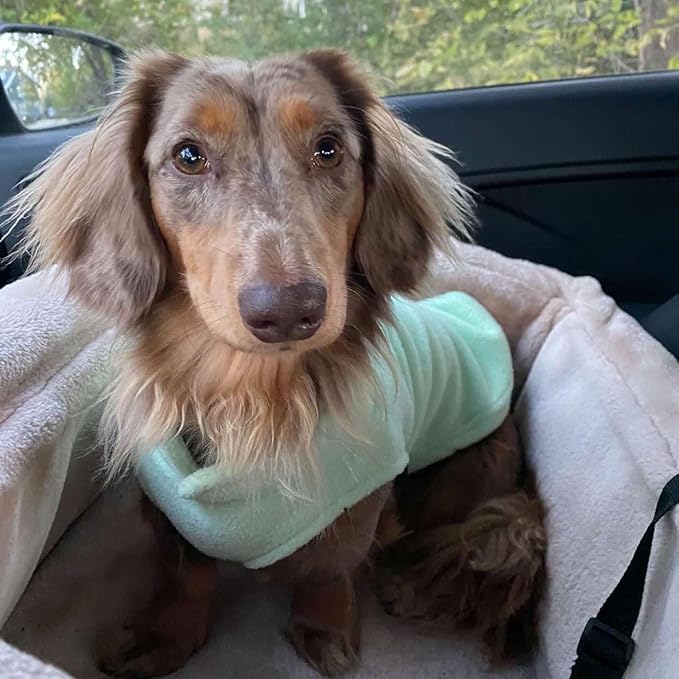 JACKO & CO - Fleece Vest Dog Sweater with Leash Ring - Soft, Warm & Lightweight Pullover Coat for Small & Medium Dogs, Puppies & Cats - Cozy Fall/Winter/Spring Pet Jacket (Mint Green, X-Small 3lbs)