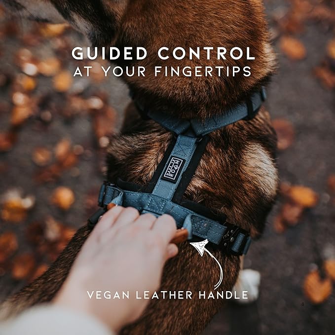 MADE TO ROAM Premium Explorer Harness - Y-Shaped Dog Harness with Adjustable Durable Nylon, Soft Padding, Metal Buckles and Leather Handle for Small, Medium, Large Dogs (Nevada Evening, Size 7)