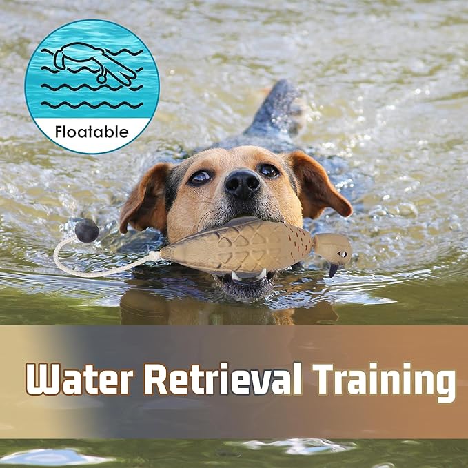 2 Pcs Dove Dummy Bumper Toys for Retriever Dog Training, Hunting Dove Recognition Trainers, Foam Interactive Outdoor Toys