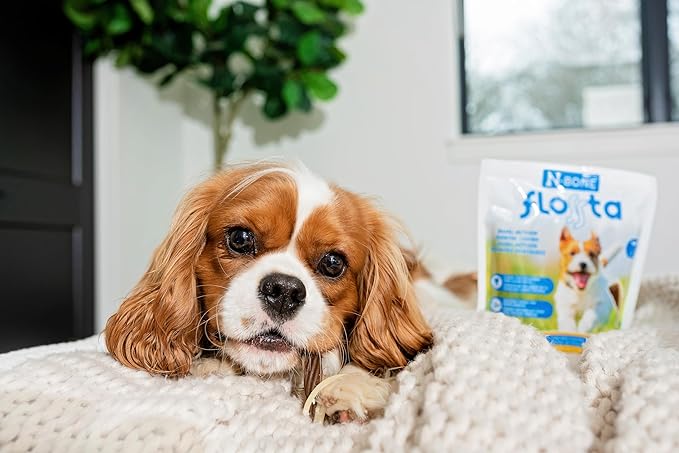 N-Bone FLOSSta Dental Chews for Dogs – Mint Flavor, No Dyes, Grain-Free, Breath Freshening, Plaque & Tartar Control, Digestible Teething Aid – 12 oz Bag, Made in USA