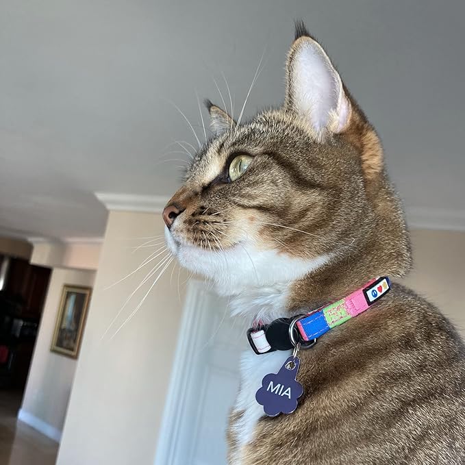 Pawtitas Personalized Cat Collar with Safety Buckle and Removable Bell - Multicolor, Adjustable, Customized Cat Collar - Blue/Orange/Yellow
