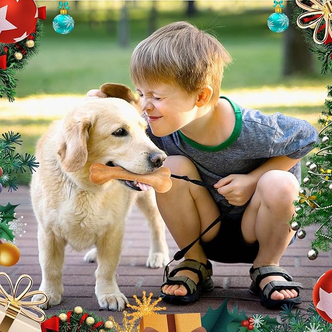 Christmas Dog Toys 9 Pack, Luxury Santa Puppy Chew Toy, Cotton Squeaky Plush Toys for Small Dogs, Durable Interactive Rope Treat Dog Ball and Bones, Rubber Teething Toys for Dogs Gifts