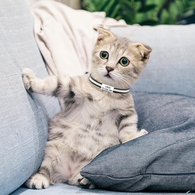 Cat Collar Personalized - Breakaway Reflective Cat Collar with Bell-Custom Cat Collars Engraved with Name and Phone, Adjustable for Cats and Kitten