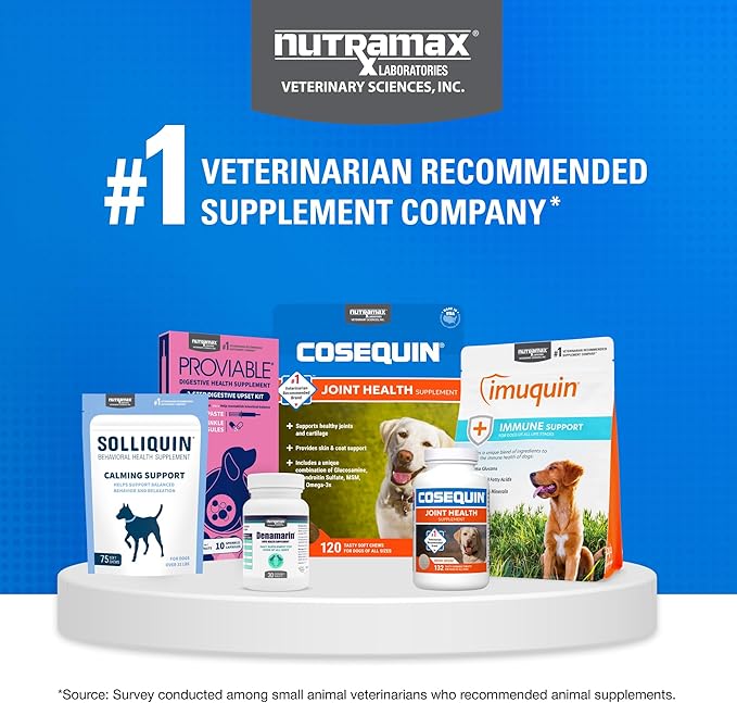 Nutramax Cosequin for Dogs Joint Health Supplement, Contains Glucosamine for Dogs, Chondroitin, MSM and Omega-3s, Supports Joint and Skin and Coat Health, Soft Chews, 60 Count