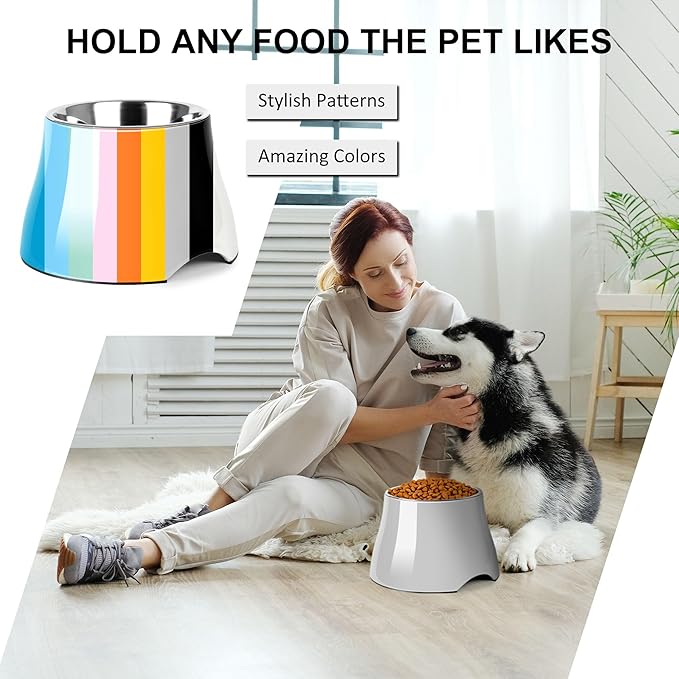 Dog Bowls,Cone Friendly Non Slip Single Dog Bowl with Stainless Steel Inner, Raised Bowls for Small Dogs Spaniel Dogs Long Ear, High Capacity, M/2 Cup Gray