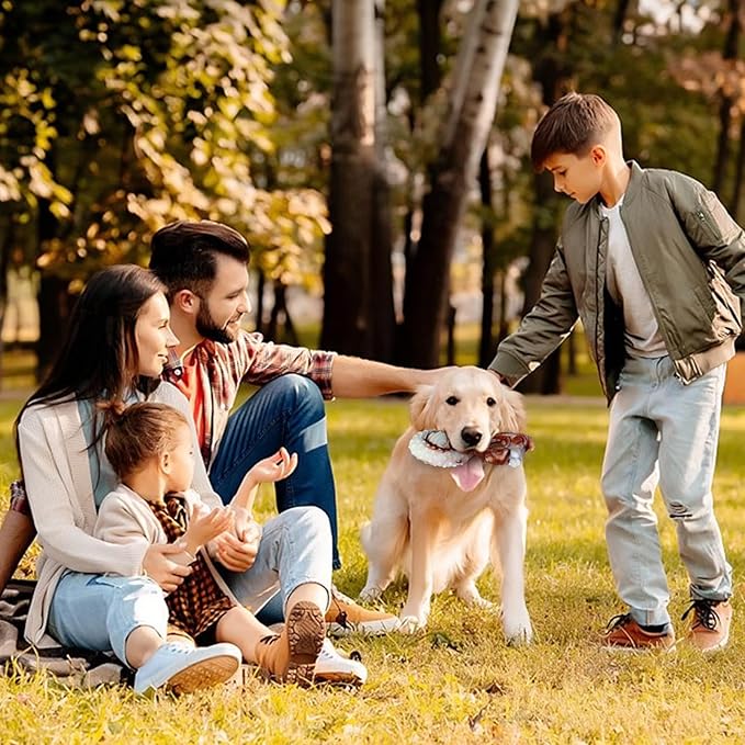 Indestructible Dog Toys for Aggressive Chewers, Tough and Durable Chew Toys for Large Medium Dogs, Interactive Dog Chew Toys to Keep Them Busy (F Squirrel+Crab)